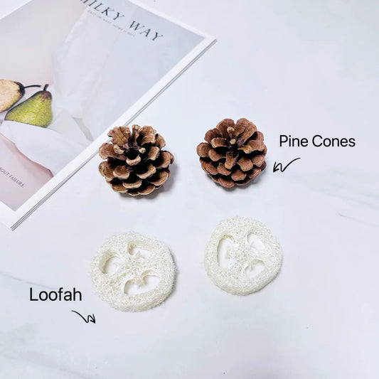 20pcs Natural Bite Toys Set | Pine Loofah Palm Grass Ball Corn Star Fruit Takraw Seeds - Toy Handmade Bird Toys Natural Bird Bitting Toys Organic Bird Cages Accessories