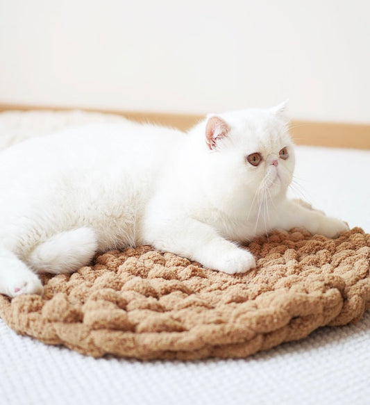Handmade Knitting Soft Cushion Mat | Cat Bed | Cat Playground | Puppy Bed | Pet Furniture | Bunny Rabbit Mat