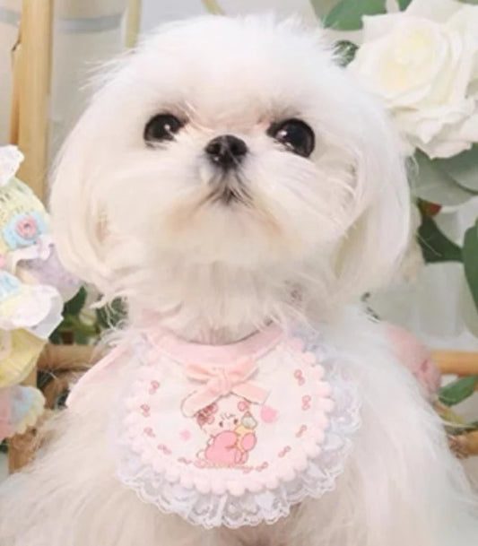 Mikko illustration Cat Dog Collar | Bear Latte Dog Souffie Kitten Mousse Rabbit Cammy - Lovely Cotton Lace Accessory Neck Wear for Kitty Cat Puppy Dog Bunny Rabbit