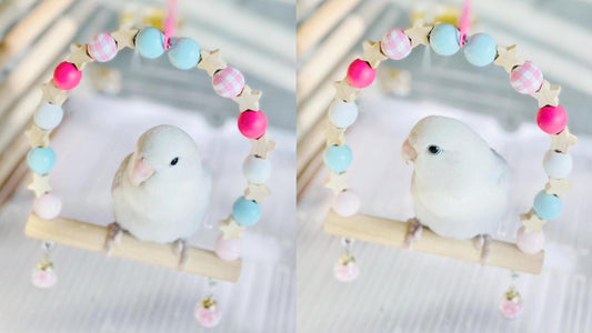 Wooden Swings Handmade Bird Toys Organic Bird Cages Accessories