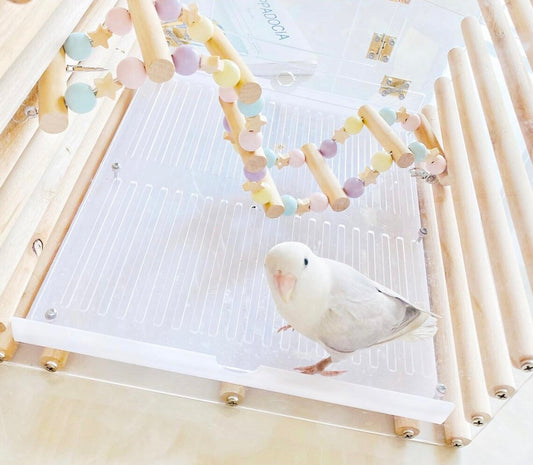 Parrot Stars Ladder Climbing Toy With Natural Wood Hanging Parrot Birdie Toy