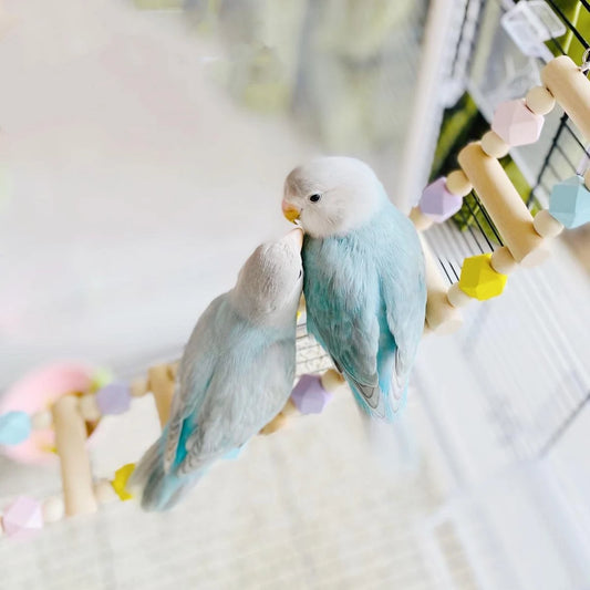 Parrot Sugar Summer Lemon 3 Style Ladder Climbing Toy With Natural Wood