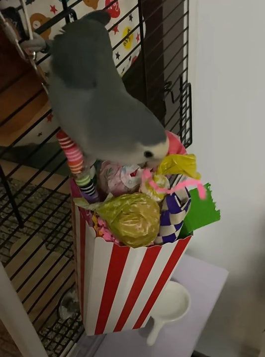 24x7.5cm Popcorn Hanging Parrot Toy for Small Medium Size Parrot Birdie Toy Cages Accessories