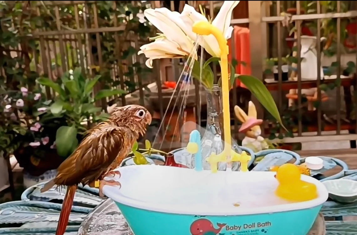 Parrot Electric Bathtub Bathing Play Water Toys Suitable for Hand Breeding Birds