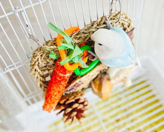 3 Style Seagrass DIY Parrot Toys Handmade Bird Toys Organic Bird Cages Accessories for Small Medium Parrot