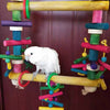 30x38cm Colourful Style Playful Wooden Swing Hanging Natural Parrot Birdie Toy for Medium Large Size Parrot Cages Accessories