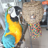 35x13cm Natural Style Lantern Jellyfish Bite Hanging Natural Parrot Birdie Toy for Medium Large Size Parrot Cages Accessories