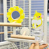Handmade Cute Design Acrylic Food Round Transparent Cutlery Food Water for Small Medium Bird and Parrot Lovebird Budgie Pacific Parrotlet