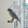 Sping Flower Theme | Pink Flora & Blue Yellow Tulip - Acrylic Parrot Window Bird Wooden Perch Stickers Stand for Small Medium Bird Parrot Lovebird Budgie