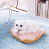 【日本限定】mofusand モフサンド | ドーナツクッションの白い猫 大きいぬいぐるみ - 可愛い雑貨 インテリア 飾り ドール