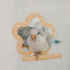 15x15cm Wooden Flower Mirror Parrot Toy Handmade Bird Toys Organic Bird Cages Accessories for Small Medium Birdie Lovebird Budgie Cockatiel