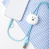 Miniso Joker Bear | 3A Fast Charging Type-C & Lightning Data Cable