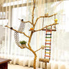 Custom Order 70-180cm Parrot Tree Stand Natural Tree Branch Organic Wood Parrot Bird Playground for Small Medium Parrot Organic Wood