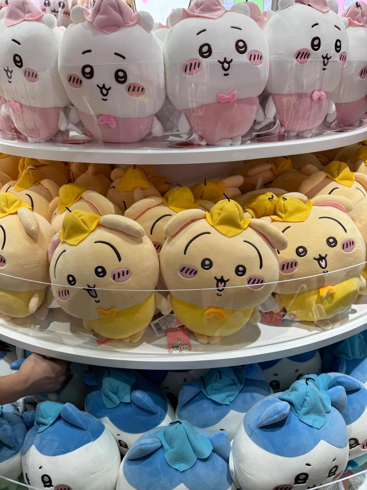 ChiiKawa X Miniso | ChiiKawa Hachiware Usagi Flower Fairy - Plush Doll Kawaii Room Decoration  WinnieTheBirds Toy Shop