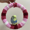 新色 17.5cm ストロベリーレッド ピンク ホワイト ヤーン編み リングブランコ 暖か オウム インコ 鳥おもちゃ
