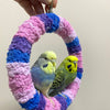 +Handmade+17.5cm Blueberry Pink Blue Purple Yarn Knitting Ring Swings Parrot Birdie Toy