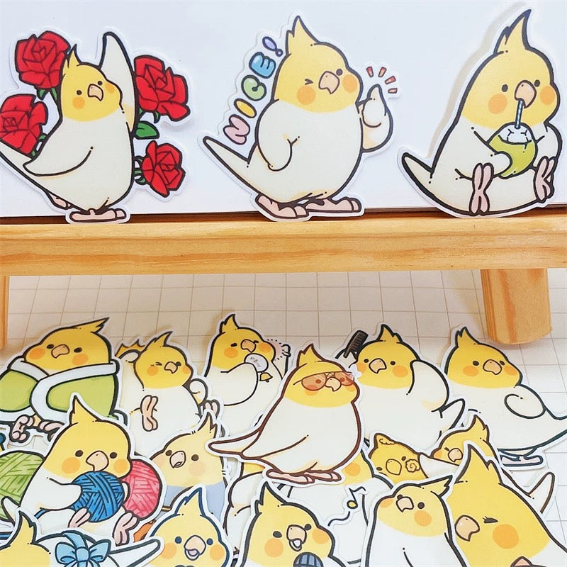 Set of 20 Pieces Parrot Waterproof | Fun Cockatiel 5cm - iPad iPhone NoteBook