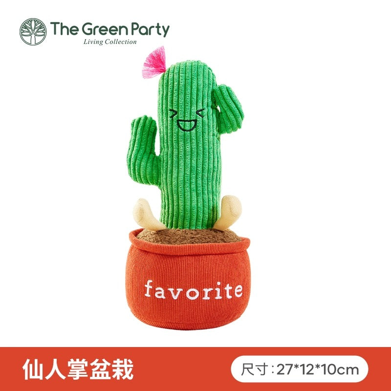 money tree cactus The Green Party Lovely Planets | Cactus Coconut Tree Money Tree