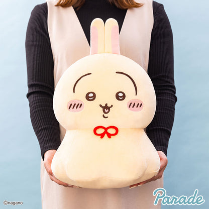 Japan ChiiKawa | Usagi Cute Sunny Day Doll Big Plush Doll - Kawaii items Room Decoration doll