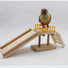Parrot Wooden Slide for Small and Medium Size Bird Parrot Intelligence Training Toy Parrot Educational Toys Parrot Toys