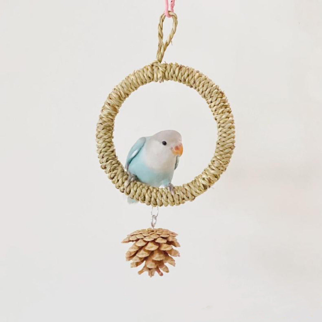 Bird swings and toys outlet