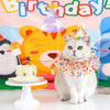 手作り猫犬用首輪｜可愛い誕生日帽子コスチュームセット（子猫・子犬用）