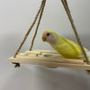 Japan Sanko Room Athletic Platform for Small Medium Bird and Parrot Lovebird Budgie Pacific Parrotlet Finches