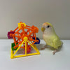 Japan Parrot Toys Ferris Wheel for Small Medium Bird and Parrot Lovebird Budgie Pacific Parrotlet Finches