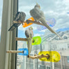 17x6cm Colorful Acrylic Parrot Window Bird Wooden Perch Stickers Stand for Small Medium Bird Parrot Lovebird Budgie