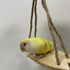 ジャパンサンコー ルームアスレチック サーフボードプラットフォーム 小型中型鳥用 ラブバード、セキセイインコ、マメルリハ、フィンチ