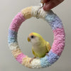 +Handmade+17.5cm Pastel Rainbow Yarn Knitting Ring Swings Parrot Birdie Toy