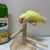 日本サンコー 回転止まり木 小鳥・インコ用 ラブバード セキセイインコ サザナミインコ フィンチ 鳥のおもちゃ