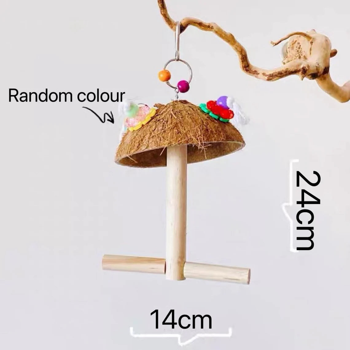 Toys Using Coconut Shell 24x14cm Coconut with Flowers Swings Hanging Parrot Toy for Small Mediu ...