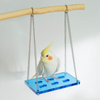 14x8cm Colorful Acrylic Parrot Platform Swings for Small Medium Bird Parrot Lovebird Budgie